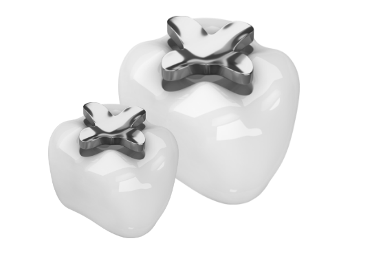 보존치료 설명 사진